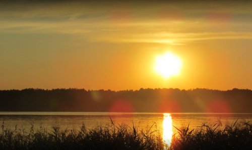 Озеро Пісочне біля Поліського у Волинській області