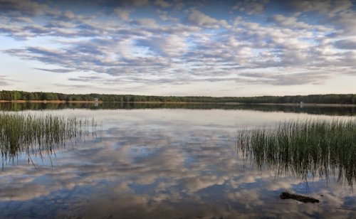 Озеро Пісочне біля Поліського у Волинській області