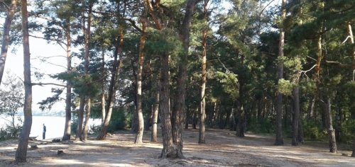 Озеро Пісочне у Волинській області