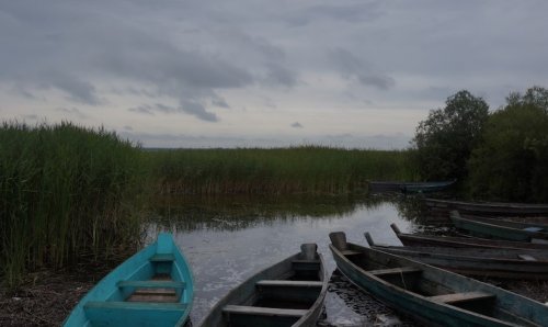 Озеро Пулемецьке у Волинській області