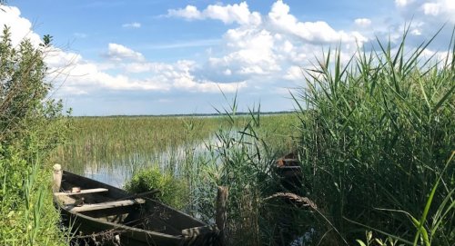 Озеро Пулемецьке у Волинській області