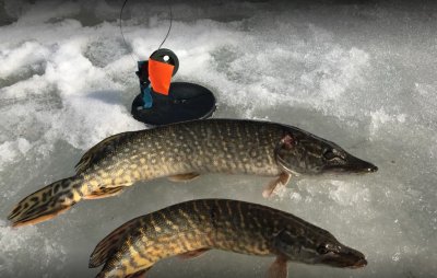 Рыбалка на озере Рыбацкая стрелка