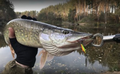 Рыбалка на озере Рыбацкая стрелка