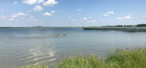 Озеро Соміне у Волинській області