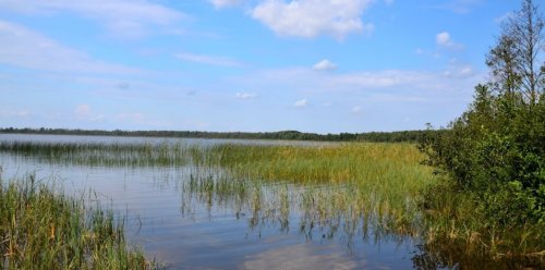 Озеро Світязь у Волинській області