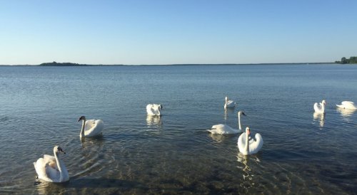 Озеро Світязь у Волинській області