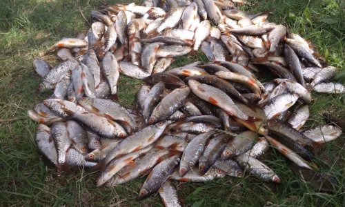 Озеро Синове у Волинській області