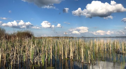 Озеро Турське у Волинській області