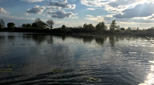 Озеро Турське у Волинській області