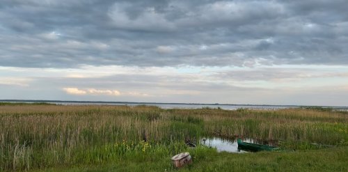 Озеро Турське у Волинській області