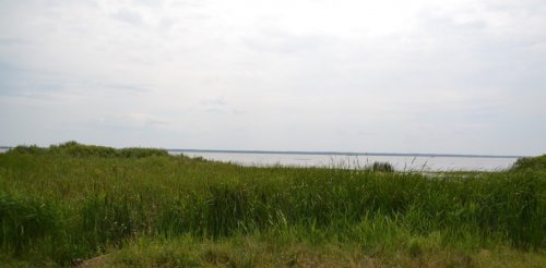 Озеро Турське у Волинській області