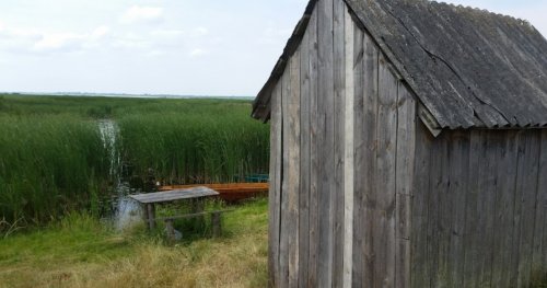 Озеро Турське у Волинській області