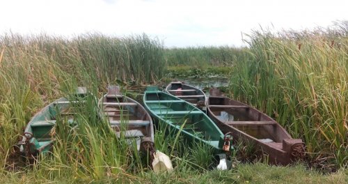 Озеро Турське у Волинській області