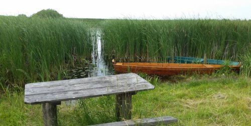 Озеро Турське у Волинській області