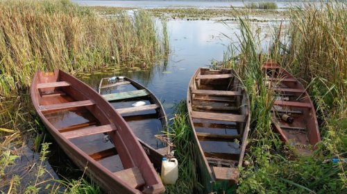 Озеро Турське у Волинській області