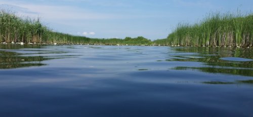 Озеро Турське у Волинській області