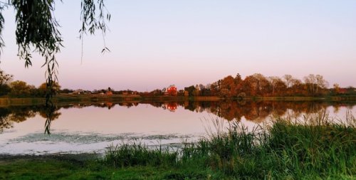 Озеро біля Колпитова Волинської області