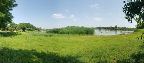 Озеро біля Колпитова Волинської області