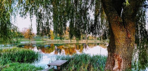 Озеро біля Колпитова Волинської області