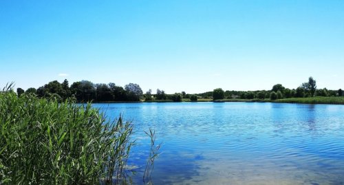 Озеро біля Колпитова Волинської області