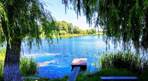 Озеро біля Колпитова Волинської області