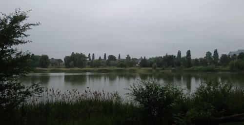 Озеро біля села Затурці Волинської області