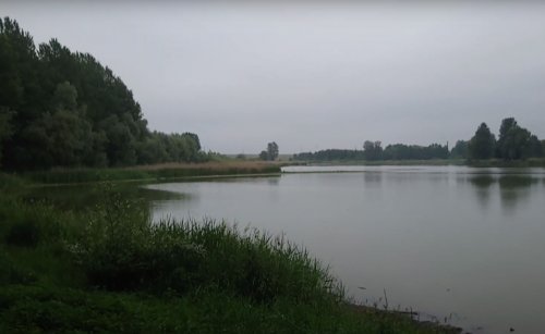 Озеро біля села Затурці Волинської області