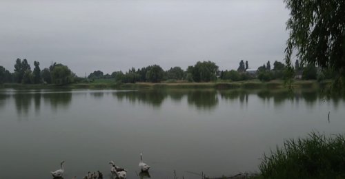 Озеро біля села Затурці Волинської області