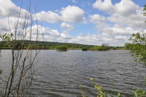 Озеро возле пгт. Ракитное Киевской области-1