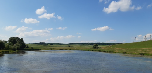 Ставок у селі Садів Волинської області