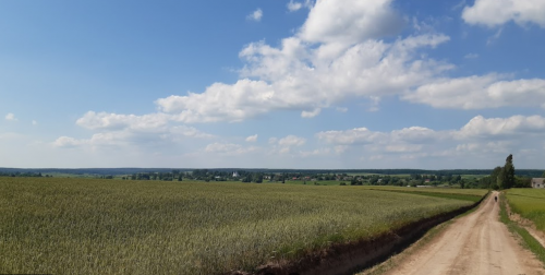Ставок у селі Садів Волинської області