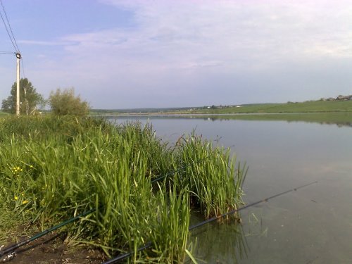 Ставок у селі Садів Волинської області