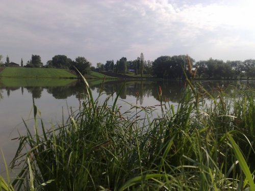 Ставок у селі Садів Волинської області