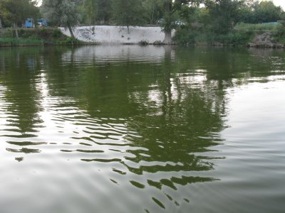 Рибалка на водоймі Карпова заплава