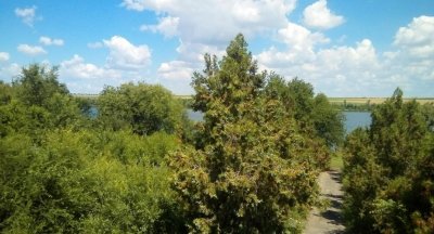 Рыбалка на Николаевском водохранилище