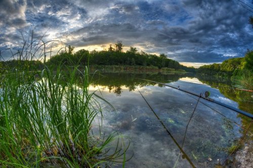 Рибалка на ставку в с. Чистопіль Дніпропетровської області