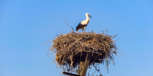 Рибалка на ставку в с. Чистопіль Дніпропетровської області