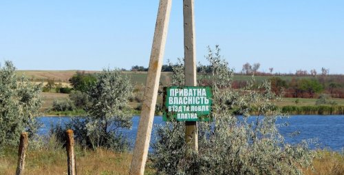 Рибалка на ставку в с. Чистопіль Дніпропетровської області