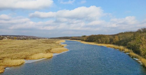 Рибалка на ставку с. Вільне Дніпропетровської області