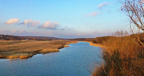 Рибалка на ставку с. Вільне Дніпропетровської області