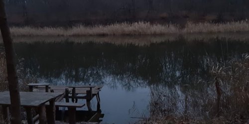 Рибалка на ставку с. Вільне Дніпропетровської області