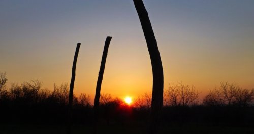 Рибалка на ставку с. Вільне Дніпропетровської області