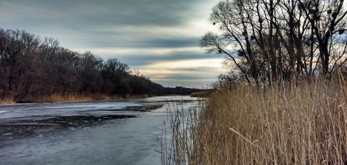 Рибалка на ставку с. Вільне Дніпропетровської області
