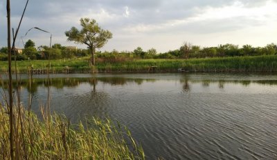 Риболовля на ставку в селі Недайвода