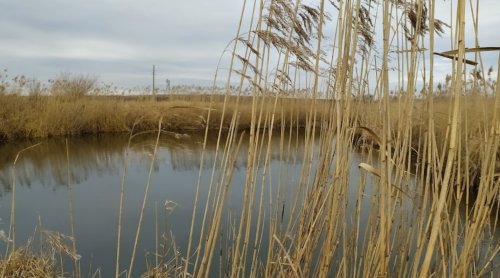 Рибалка на річці Луга у Волинській області