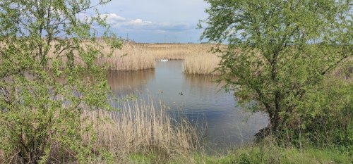 Рибалка на ставку у селі Миколаївка Дніпропетровської області