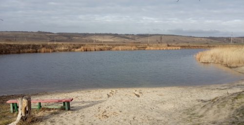 Рибалка на ставку у селі Миколаївка Дніпропетровської області