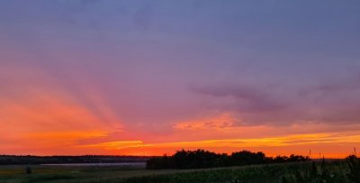 Рибалка на ставку у селі Миколаївка Дніпропетровської області