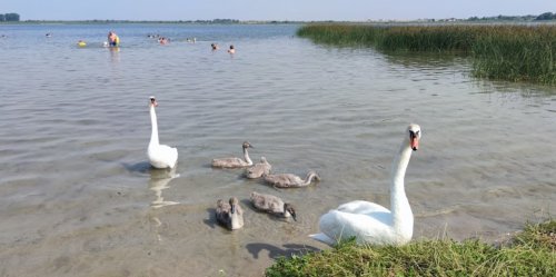 Риболовля біля селища Скиби