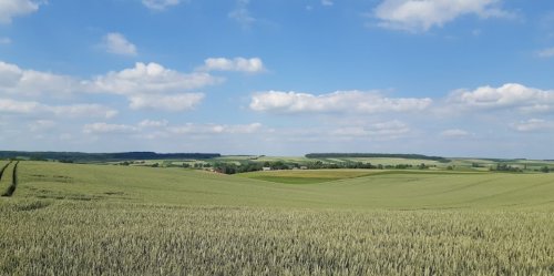 Рибалка біля села Горзвин Волинської області